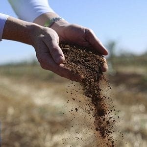 Rural Funds dismisses critical report from Bucephalus Research Rural Funds dismisses critical report from Bucephalus Research